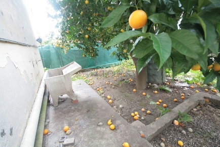 Foto Appartamento a La Spezia Rebocco - La Chiappa di 100 m² con 4 locali