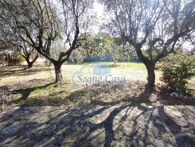 Foto Villa unifamiliare a Luni Casano Dogana Isola di 240 m² con 8 locali