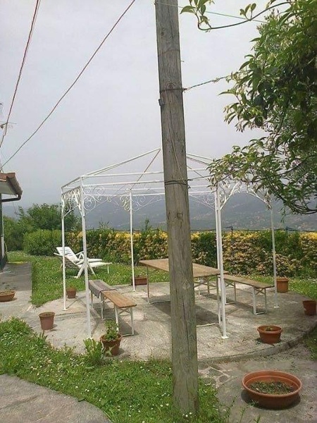 immagine annuncio 3 di 14