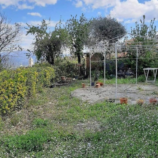 immagine annuncio 4 di 14