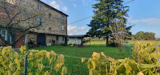 Foto Casa indipendente a Porcari di 270 m² con 10 locali in vendita