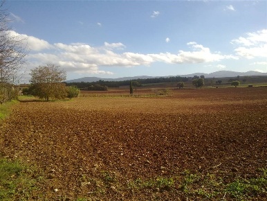 Foto Villa unifamiliare a San Gimignano Castel San Gimignano di 6830 m²