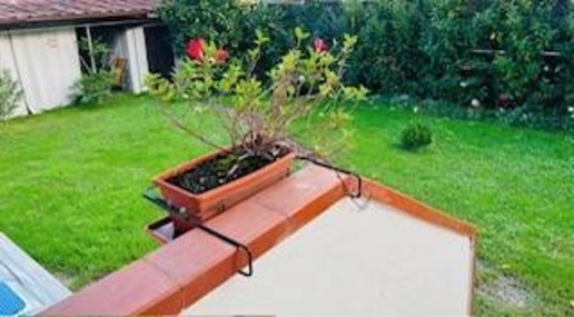 Foto Villa unifamiliare a Luni di 60 m² con 3 locali in vendita