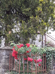 Foto Villa bifamiliare a Fivizzano di 370 m² con 15 locali in vendita