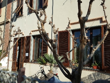 Foto Appartamento a Forte dei Marmi in vendita