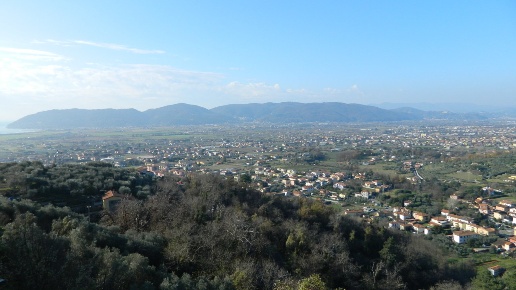 immagine annuncio 5 di 14