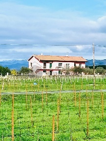Foto Appartamento in Via della Stazione, Luni di 180 m² con 4 locali