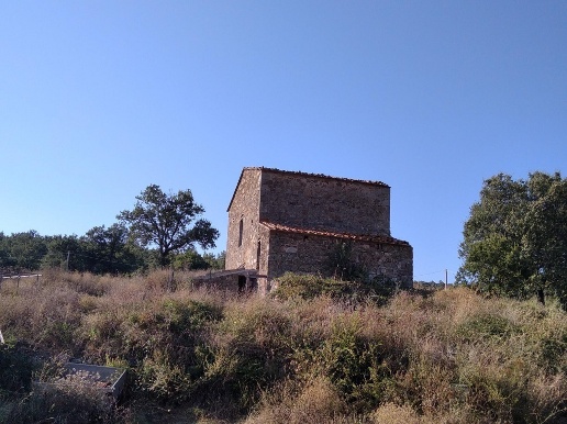 immagine annuncio 3 di 7