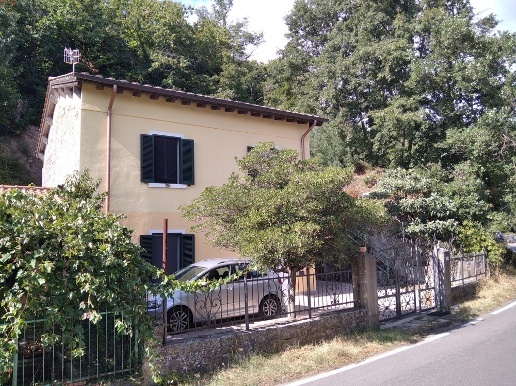 immagine annuncio 1 di 14