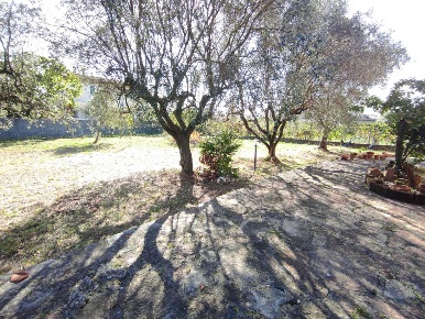 Foto Villa unifamiliare a Luni di 240 m² con 8 locali in vendita