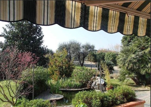 immagine annuncio 3 di 13