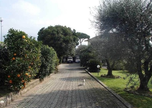immagine annuncio 9 di 13