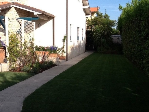 immagine annuncio 3 di 12