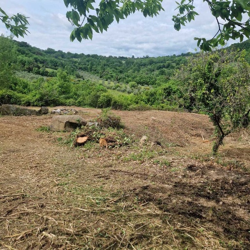 immagine annuncio 4 di 8