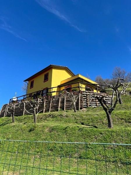 immagine annuncio 4 di 15