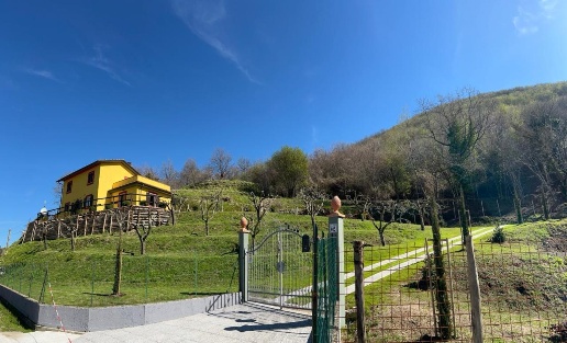 immagine annuncio 14 di 15