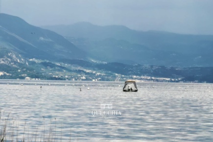 Foto Villa unifamiliare in Via della Pieve, Bardolino in vendita