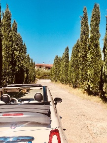 Foto Casale a Castelnuovo Magra di 450 m² con 10 locali in vendita