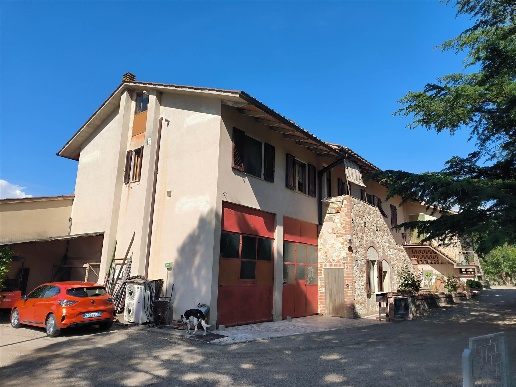 immagine annuncio 3 di 14