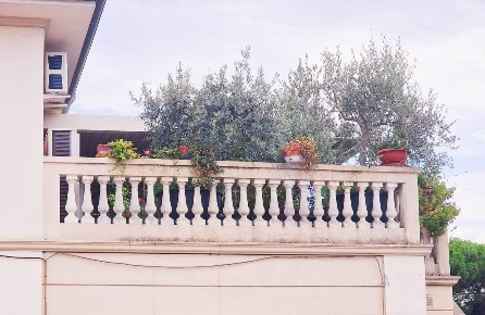 Foto Appartamento in via Catalani, Porcari Centro di 150 m² con 10 locali
