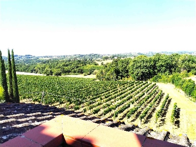 Foto Villa bifamiliare a Castelnuovo Berardenga Pontignanello di 400 m²