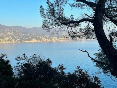 Foto Villa unifamiliare a Santa Margherita Ligure in affitto