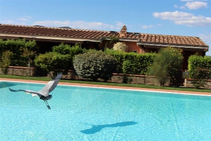 Foto Villa unifamiliare in Via Isolabella, Castiglione della Pescaia