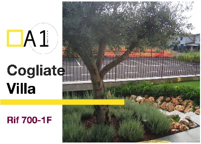 Foto Villa unifamiliare a Cogliate Centro di 155 m² con 4 locali in vendita