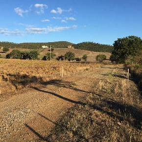 Foto Appartamento a Gavorrano in vendita
