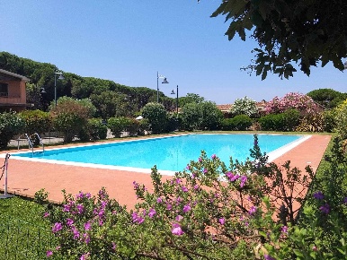Foto Appartamento a Castiglione della Pescaia in affitto