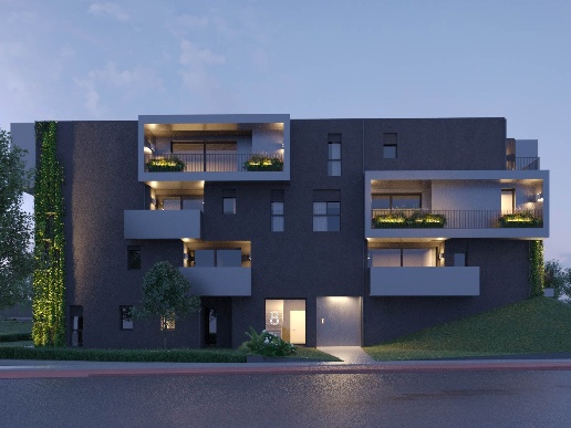 immagine annuncio 3 di 13