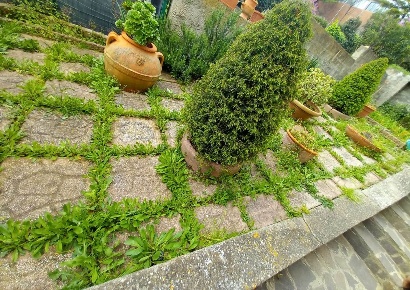 Foto Appartamento a Castagneto Carducci Centro di 73 m² con 4 locali