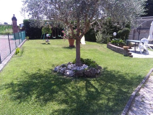 immagine annuncio 4 di 7