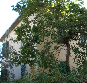 Foto Villa unifamiliare a Monte San Savino Centro di 450 m² con 15 locali