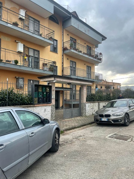 immagine annuncio 11 di 13