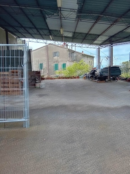 immagine annuncio 9 di 12