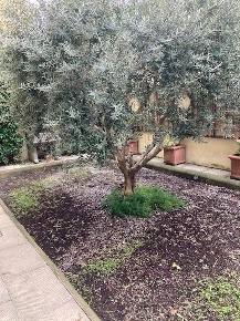 Foto Appartamento in via della Cernaia, Firenze in affitto