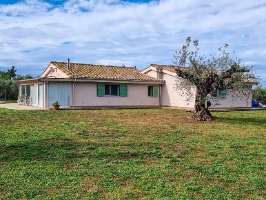 Foto Villa unifamiliare a Castagneto Carducci Bolgheri di 420 m² in vendita