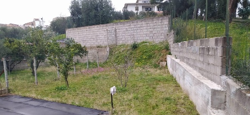 immagine annuncio 8 di 13