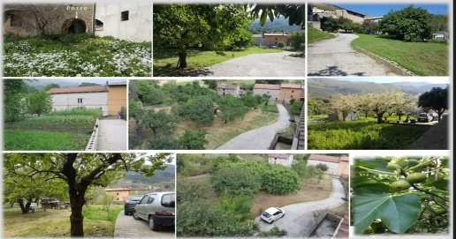 Foto Appartamento a Camerota Licusati in vendita