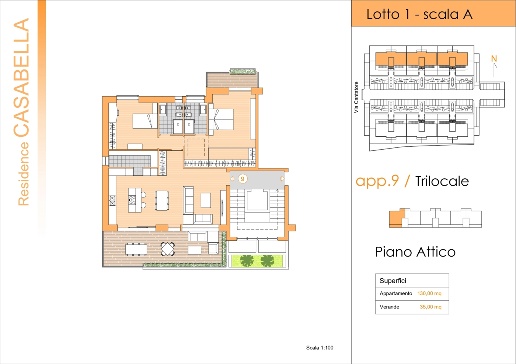 immagine annuncio 1 di 13