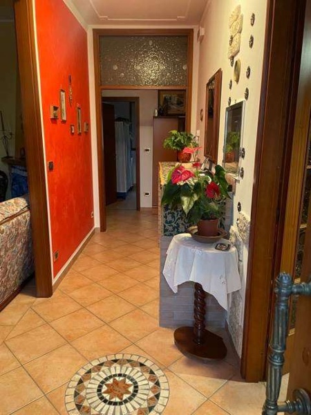 immagine annuncio 2 di 12