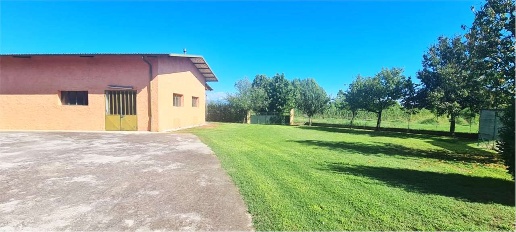 immagine annuncio 7 di 14