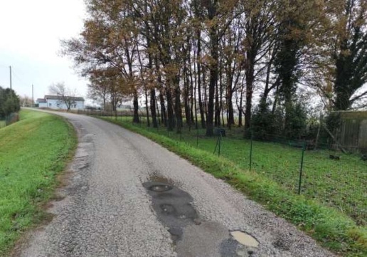 immagine annuncio 4 di 15