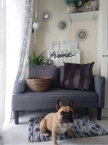 immagine annuncio 7 di 15