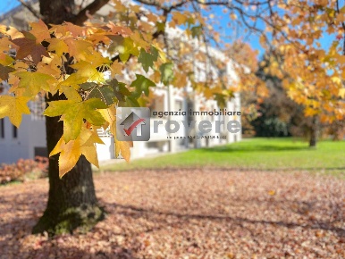 Foto Appartamento a Treviso di 180 m² con 7 locali in vendita