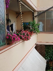 Foto Appartamento a Massa di 110 m² con 4 locali in vendita