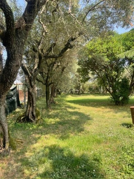 immagine annuncio 3 di 14