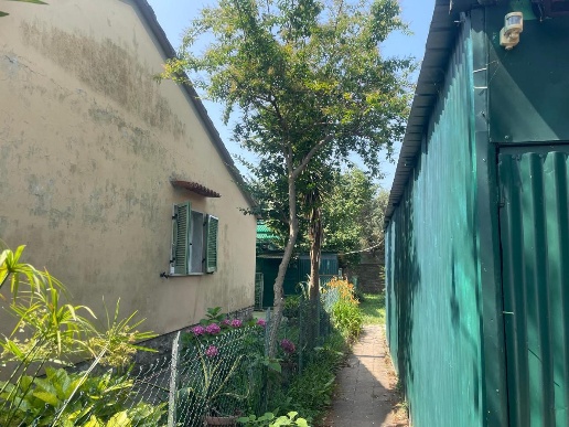 immagine annuncio 6 di 14