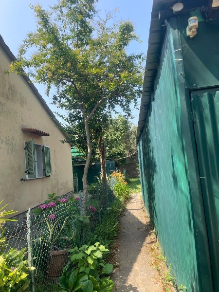 immagine annuncio 7 di 14